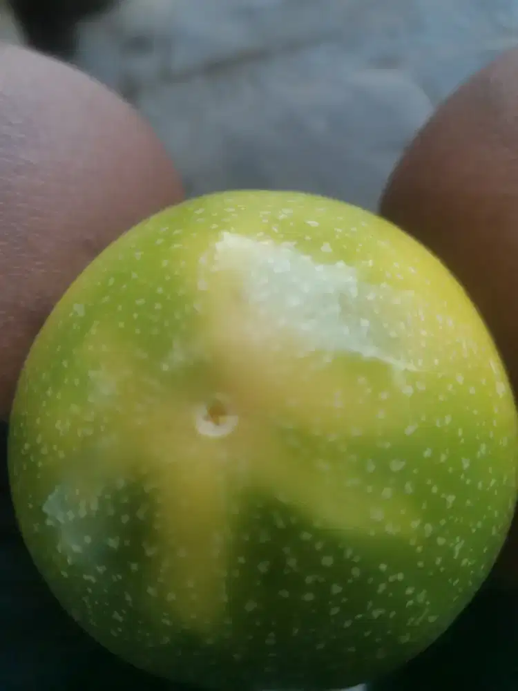 Cari pekerjaan pasti