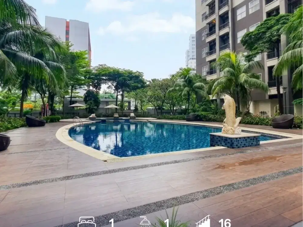 Rent Apartement Type Studio di Alam Sutera