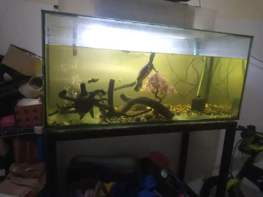 aquarium p=92 L=40 T=40