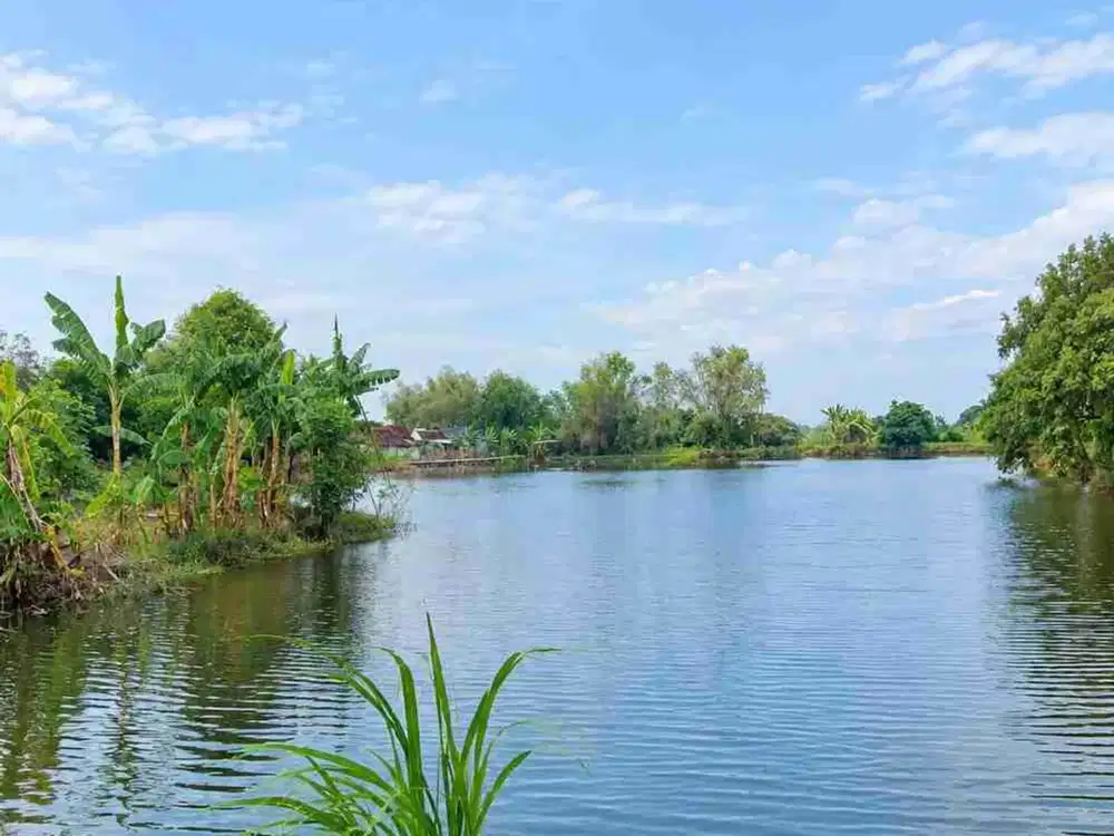 DIJUAL – Lahan SHM 1,38 HA Nol Jalan Kabupaten Morowudi Cerme Gresik