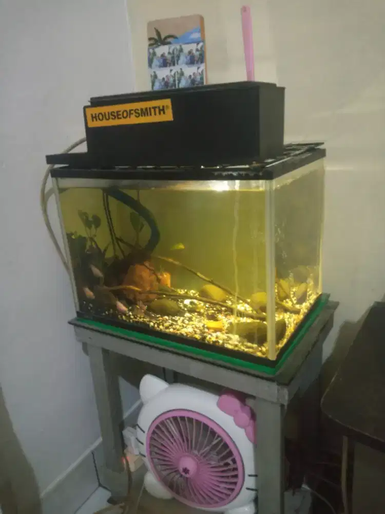 aquarium akrilik P40 L25 T25 fullset