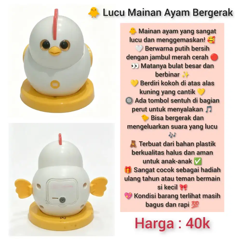 Mainan Ayam dan Bebek