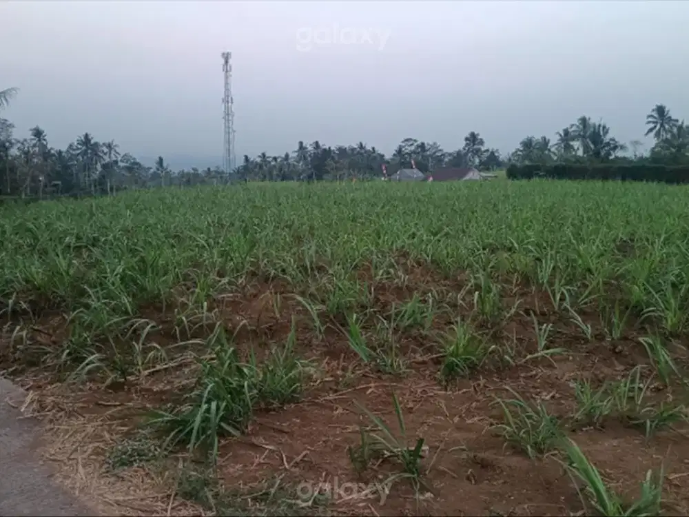 Tanah Wagir Malang 4053 m2 Dekat Area Perumahan GMK04219