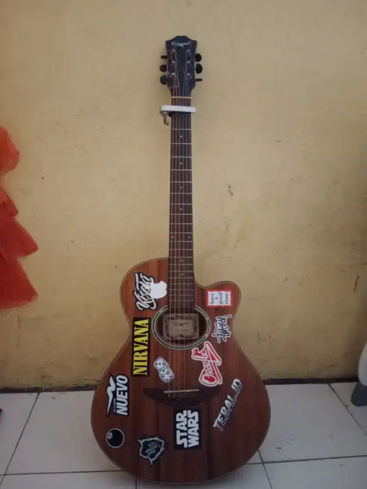 Gitar akustik camwood