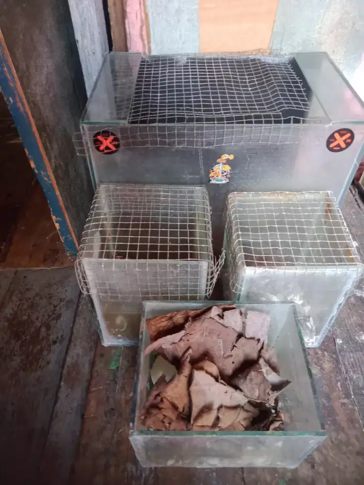 Akuarium bekas murah