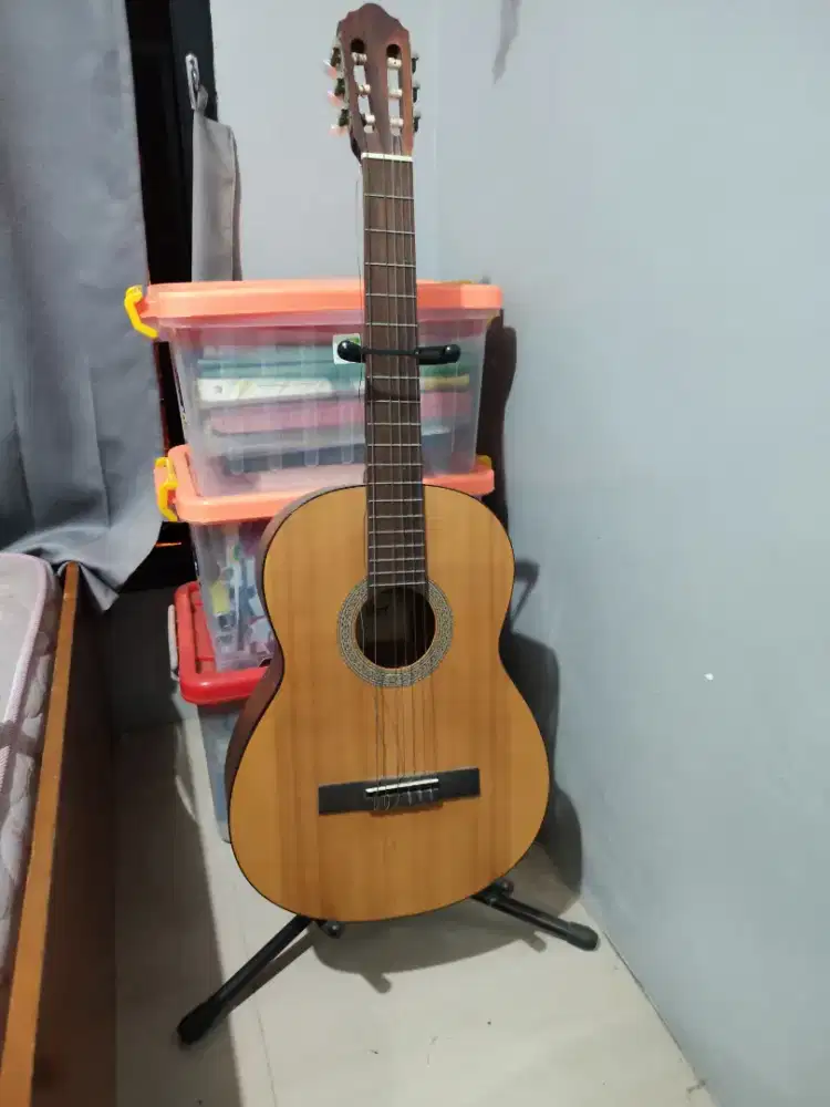 Gitar Cort AC100 OP Akustik Klasik Spruce