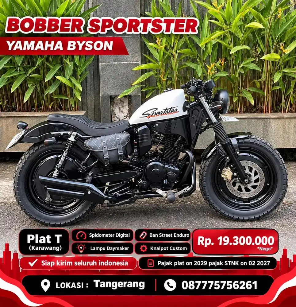 Yamaha byson custome