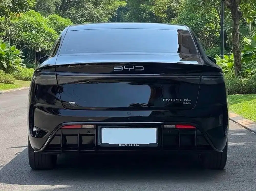 BYD SEAL PERFORMANCE 3.8s AWD At 2024
