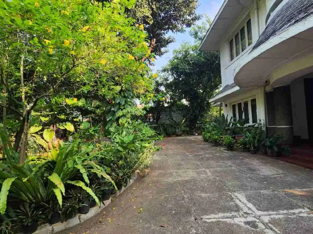 Dijual rumah rumah nyaman di jln.Imam Bonjol Menteng Jkt Pusat