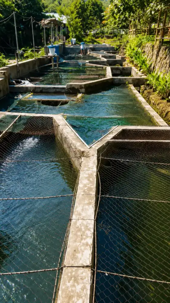 VILLA SISI SUNGAI + 10 EMPANG RUNNING, SIAP JADI ASET PRODUKTIF