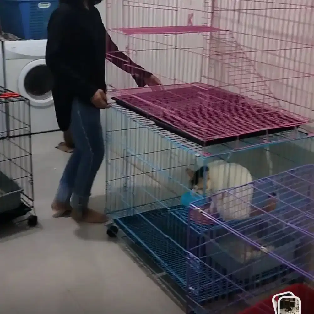 MURAH BESAR kandang kucing uk 90