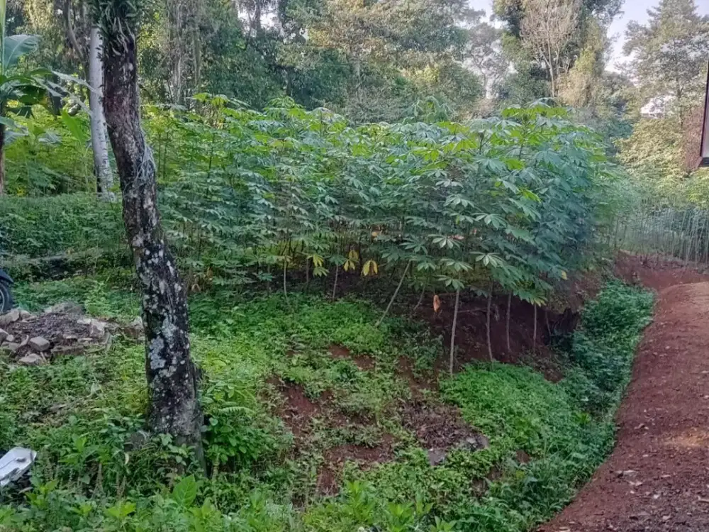 Dijual Tanah 1300 m2 di Cijayanti, Sentul Selatan, Bogor