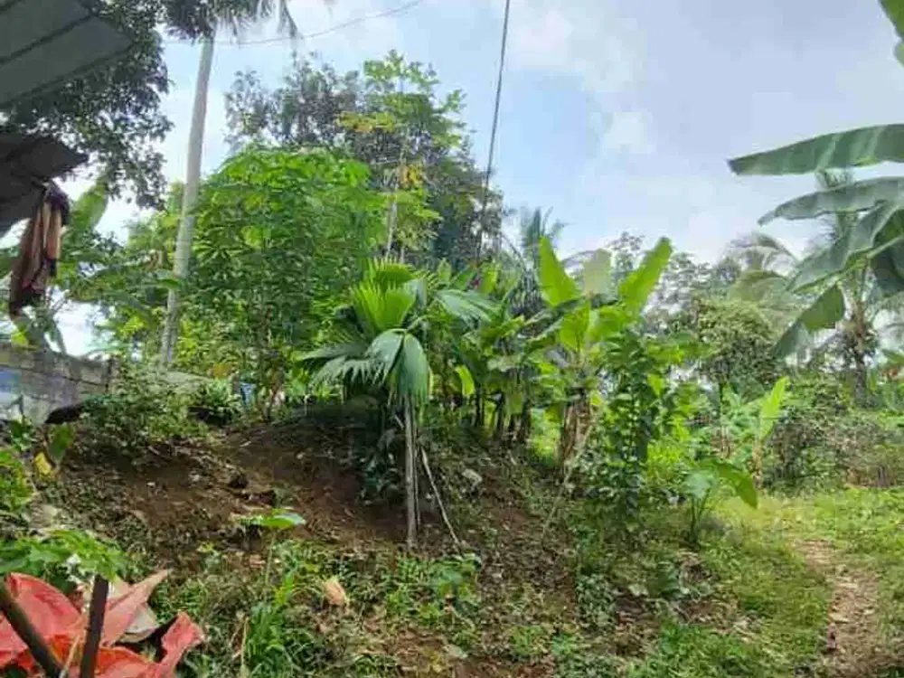 Dijual Tanah di Jalan Raya Pandansari Ciawi Kab. Bogor