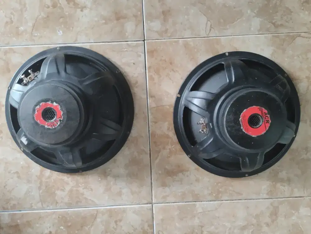 Spiker 12 inch sepasang