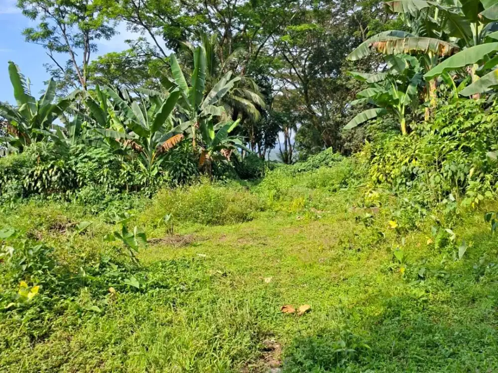 Dijual Tanah Darat 560 m2 di Dekat Summarecon Bogor