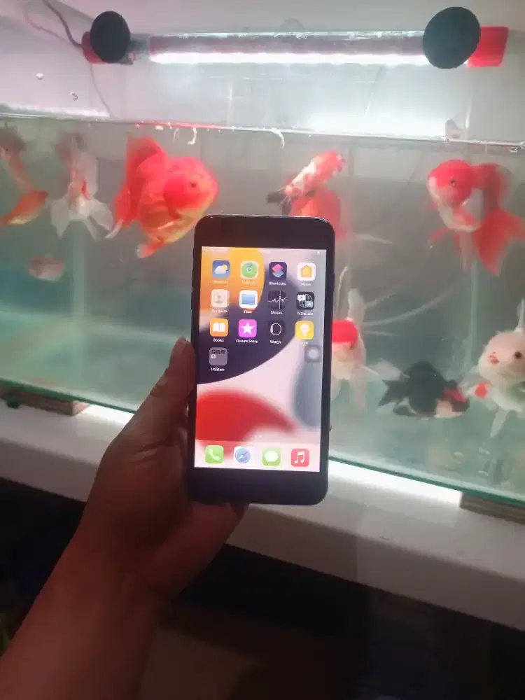 IP 7 plus 32gb WiFi only