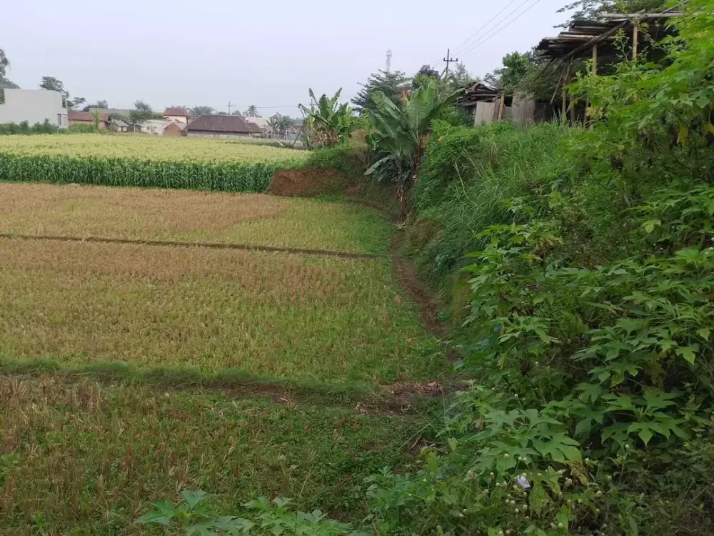 Tanah poros pulungan tumpang malang