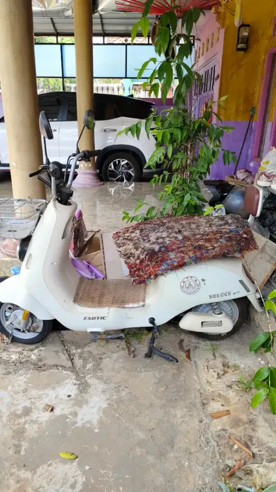 Sepeda listrik Exotic Veloce