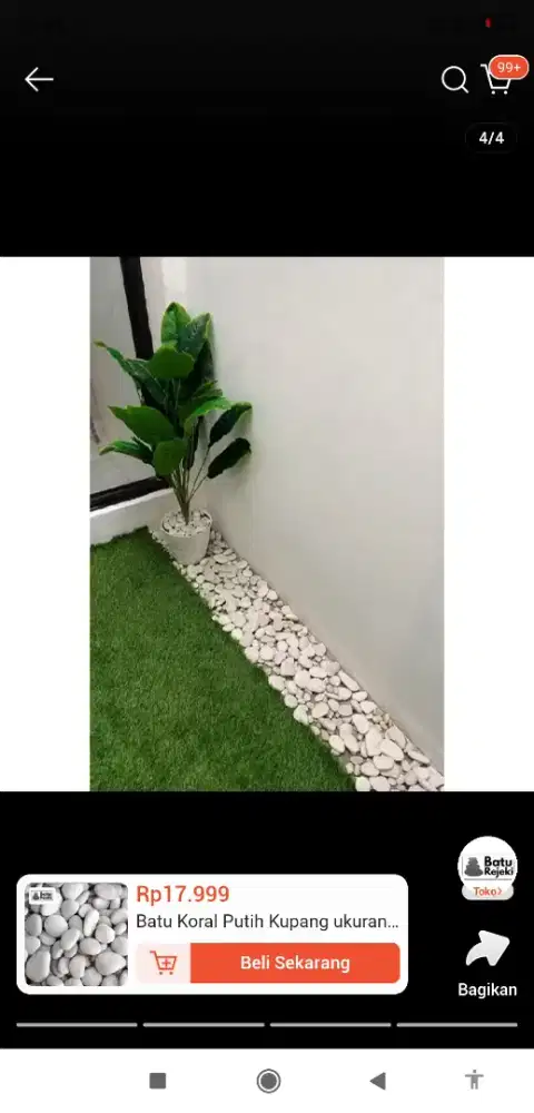 Batu koral kuping hiasan