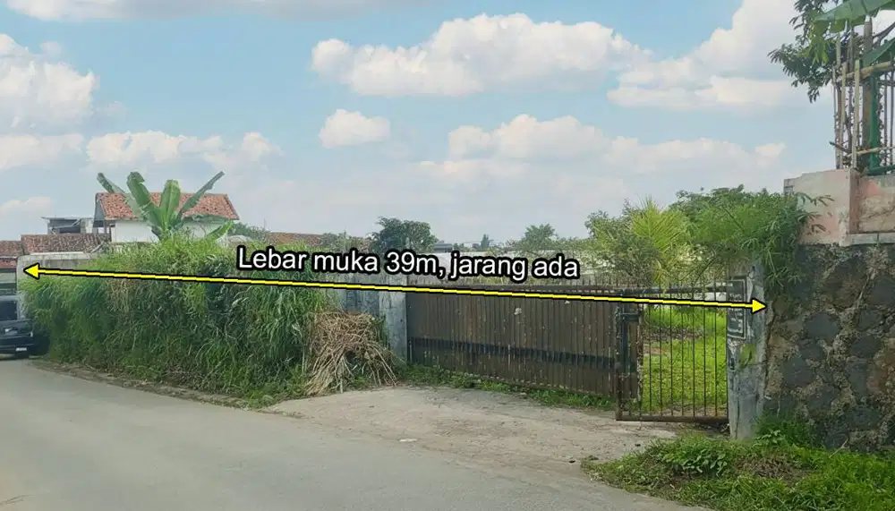 Tanah Rata Area Vila SHM Muka 39m Luas 3122m2 DPL 1200m Hadap Timur