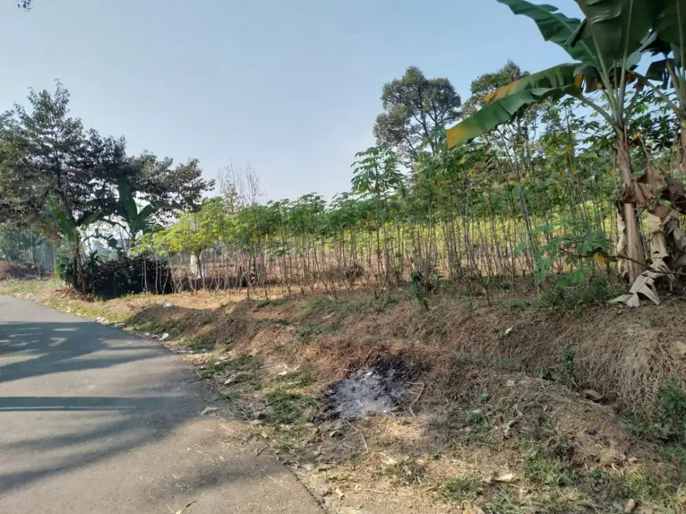 Dijual Tanah Darat 600 m2 di Desa Nagrak, Bogor