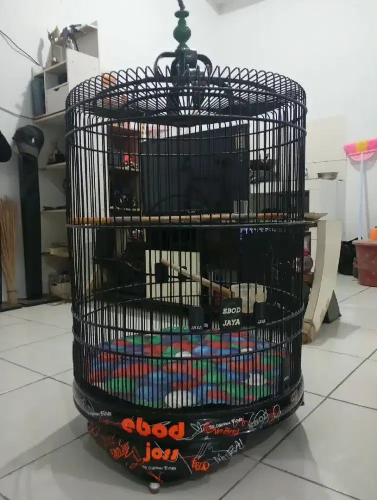 Sangkar Kandang Murai Ebod Joss