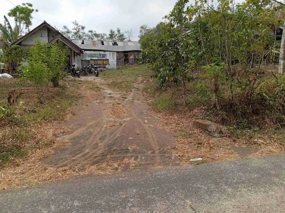 Tanah Pekarangan Bambang Wajak Malang