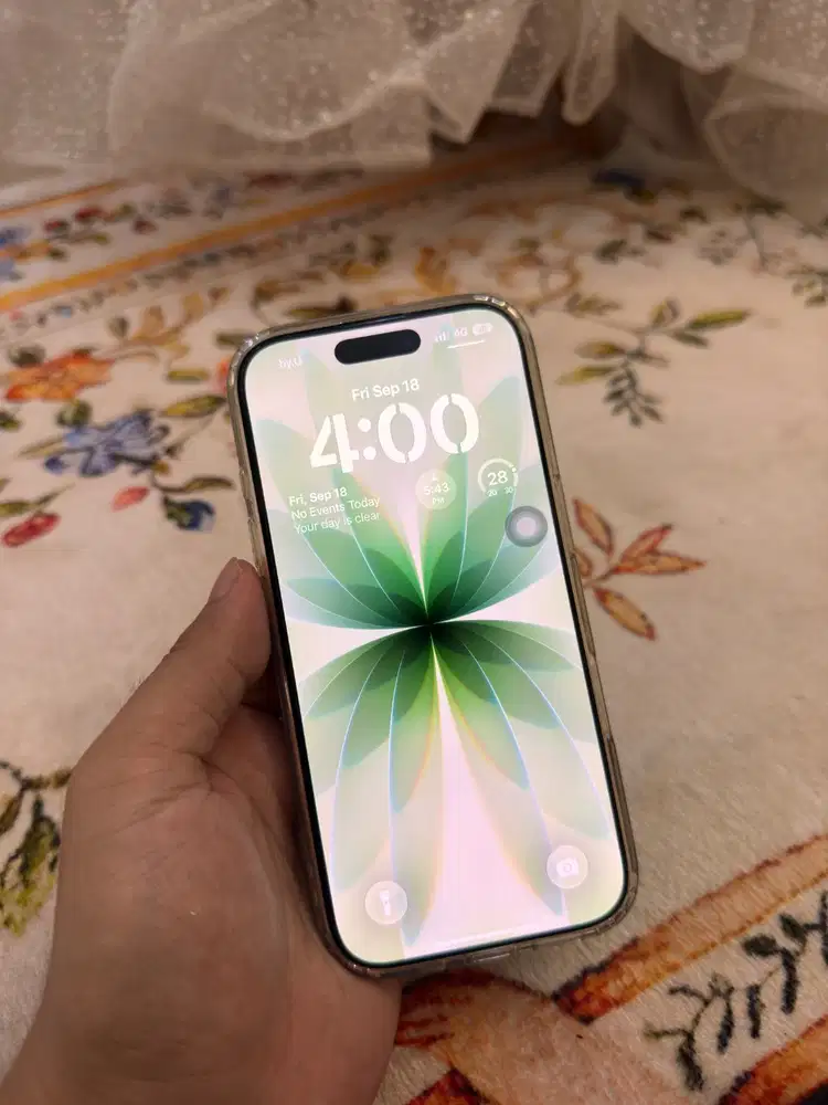 iPhone 17 basic SAGE 256GB