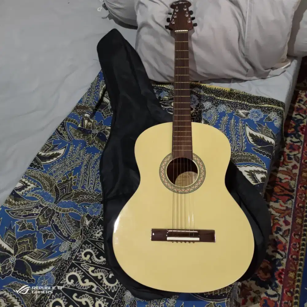 Gitar akustik Alegro