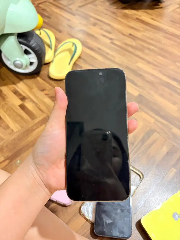 IPHONE 16 PRO MAX 256 GB SECOND IBOX INDONESIA
