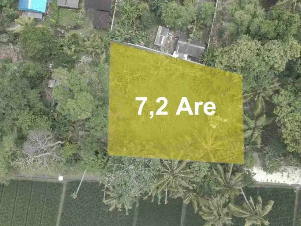 Tanah Leasehold 30 Tahun Kedungu Dekat Pantai