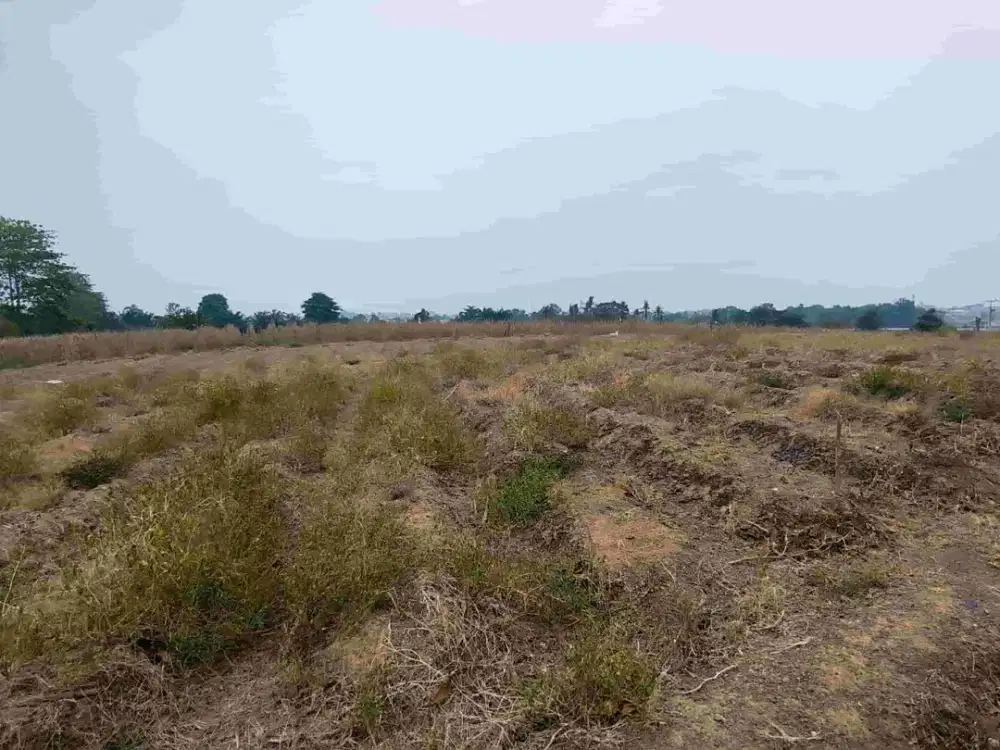 Dijual Cepat Lahan Strategis Siap bangun Jl.H.M Noerdin Pandji Kenten Palembang
