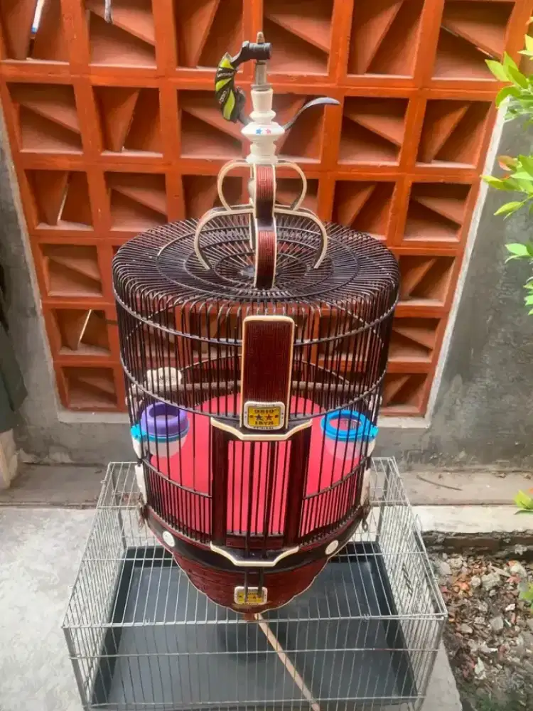 sangkar anis oriq jaya