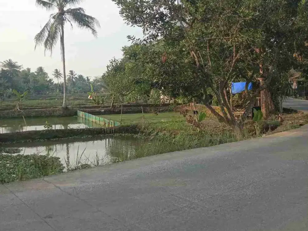 LAHAN EMPANG 874 M² SHM – PINGGIR JALAN RAYA – CISEENG BOGOR.