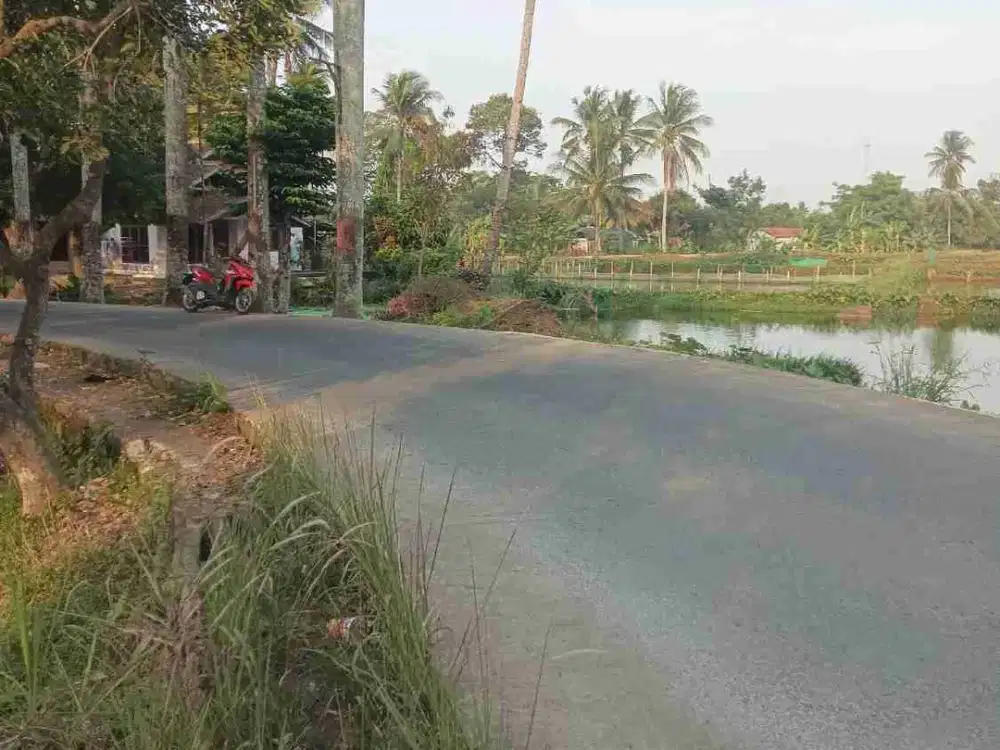 TANAH EMPANG 874 M² SHM CISEENG BOGOR – PINGGIR JALAN, POTENSIAL.