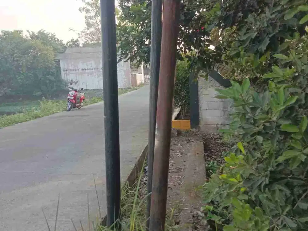 EMPANG IKAN AKTIF 874 M² SHM CISEENG-BOGOR – COCOK AGRIBISNIS & AGROWISATA