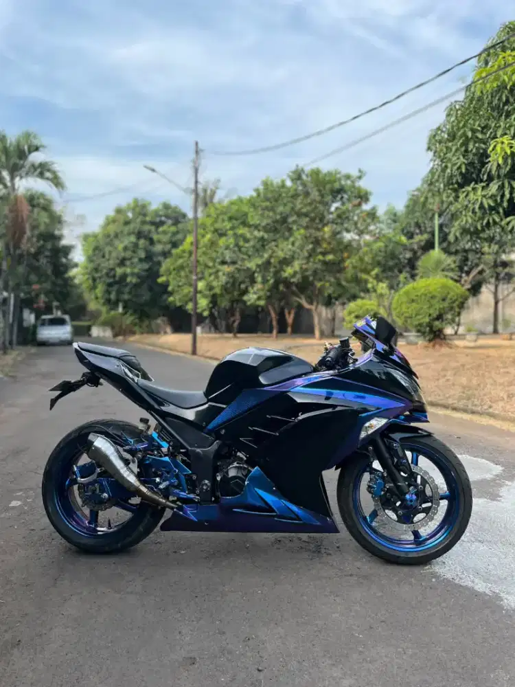 Kawasaki ninja 250fi 2013