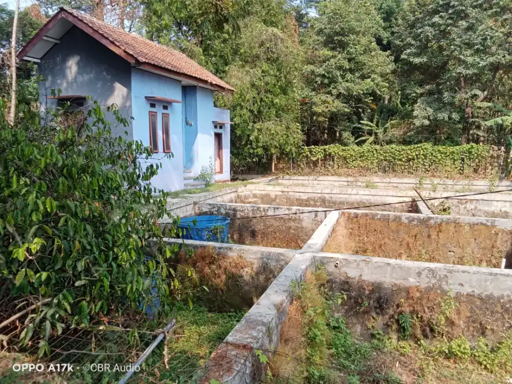 Dijual tanah jalan desa cikalahang blok 3 pajaten