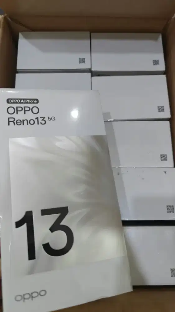 Oppo Reno 13 5g 12/256 segel