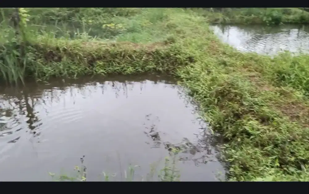 Dijual tanah untuk kebun/kolam