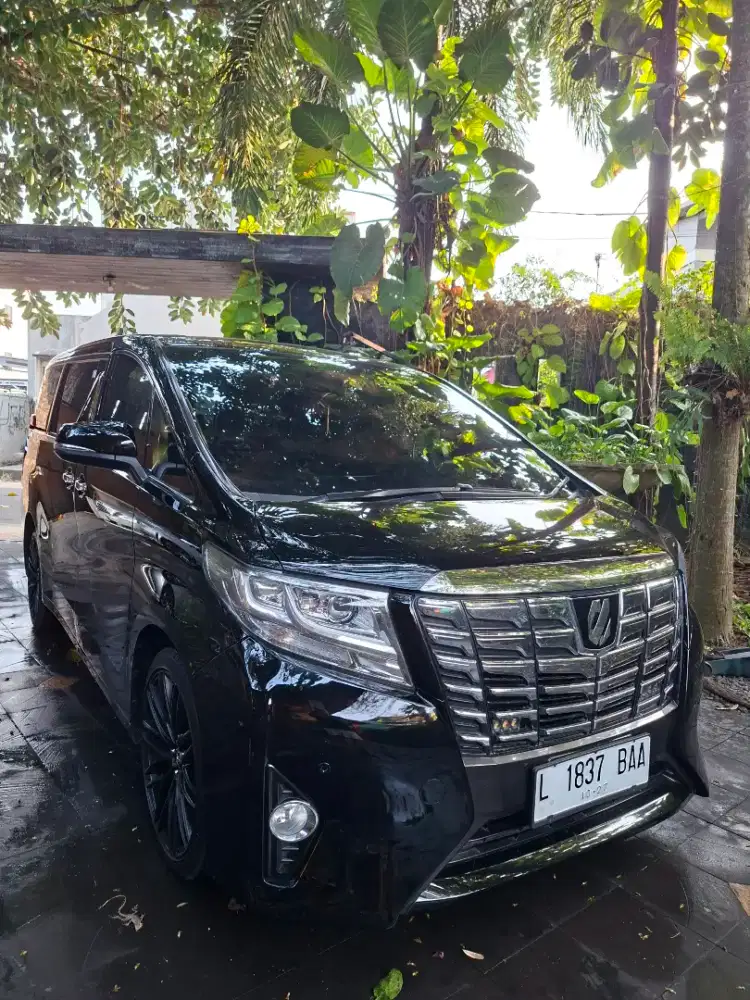 Alphard 2017 type x istimewa sekali
