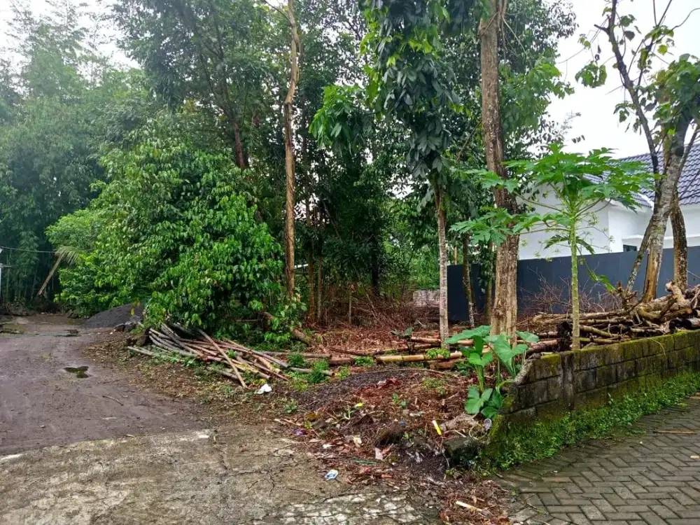 Tabungan Masa Depan! Beli Tanah Kavling Jogja Ini Dulu, Bangun Belakangan