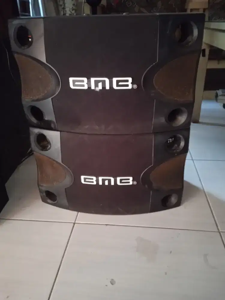 Peaker ,BMB,model,CS,252V,8,ohm,250,Watt,original,