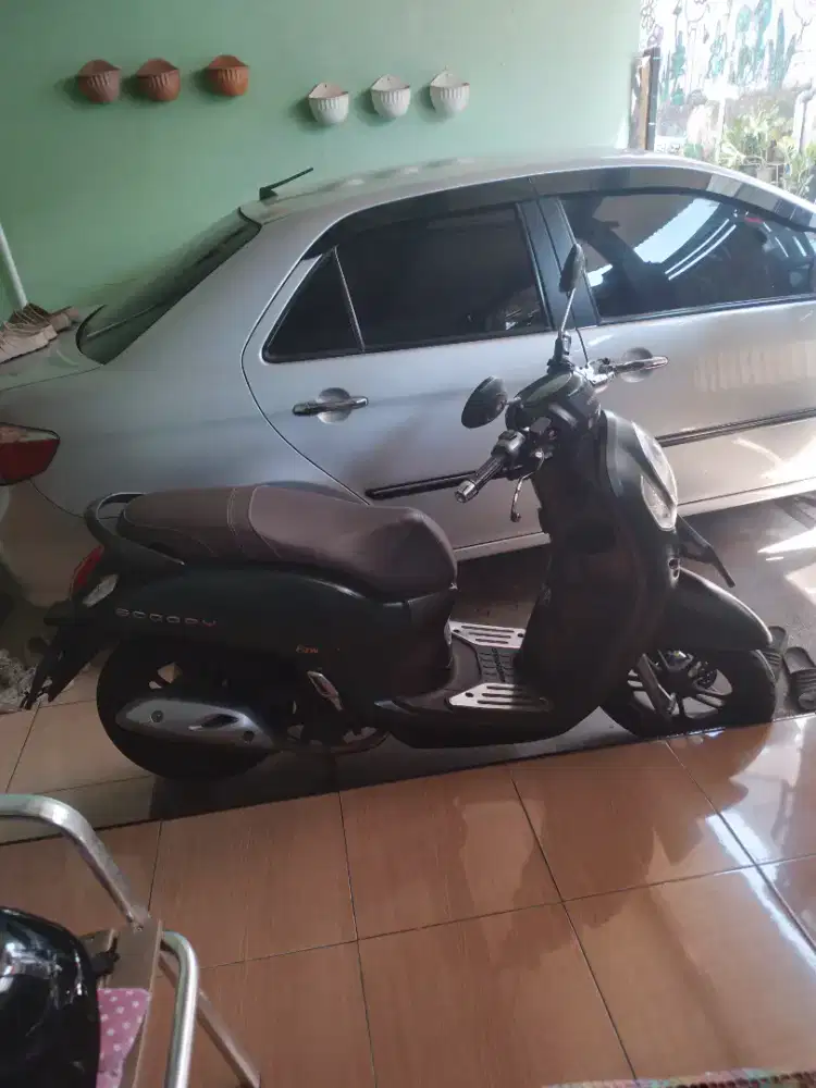 Scoopy keyles mulus