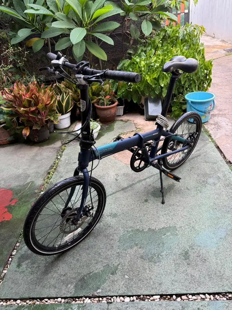 Dahon ion madison