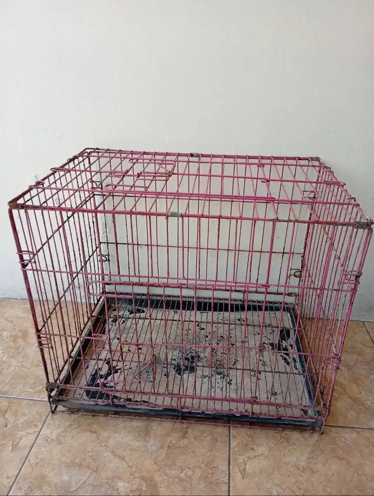 Kandang kucing, kelinci, anjing