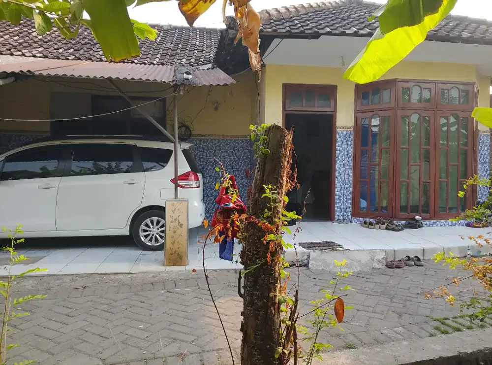 Rumah bonus usaha