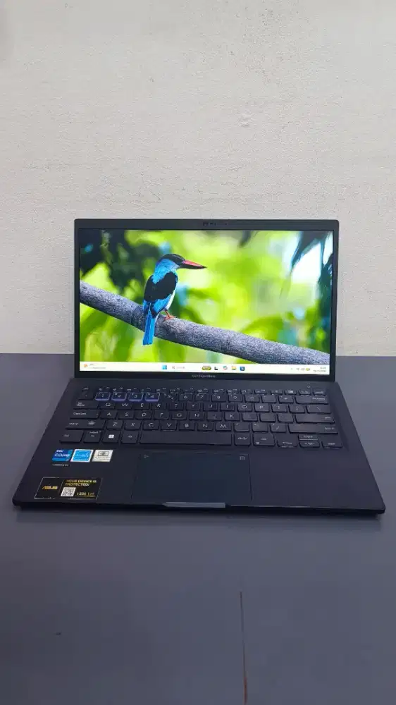 Asus ExpertBook