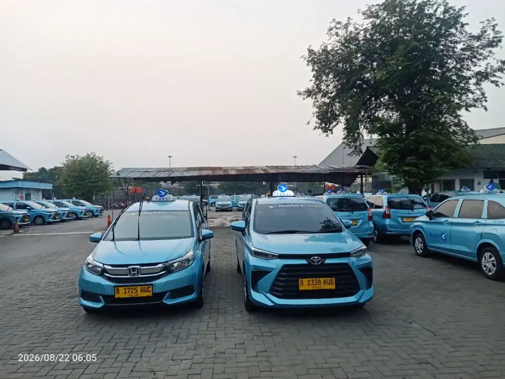 Sopir supir pengemudi driver