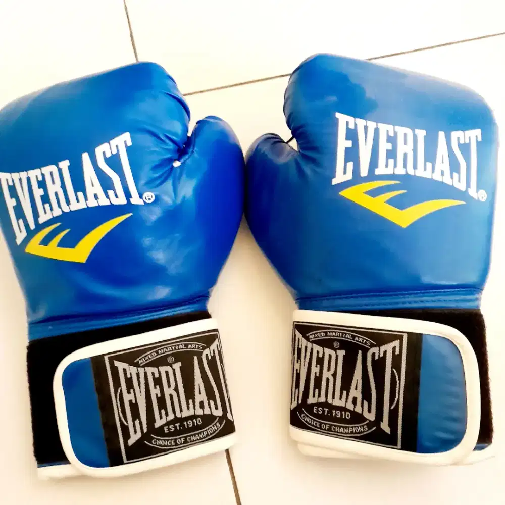 Glove boxing biru